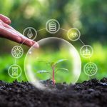 Why Environmental and Social Impact Assessments Matter