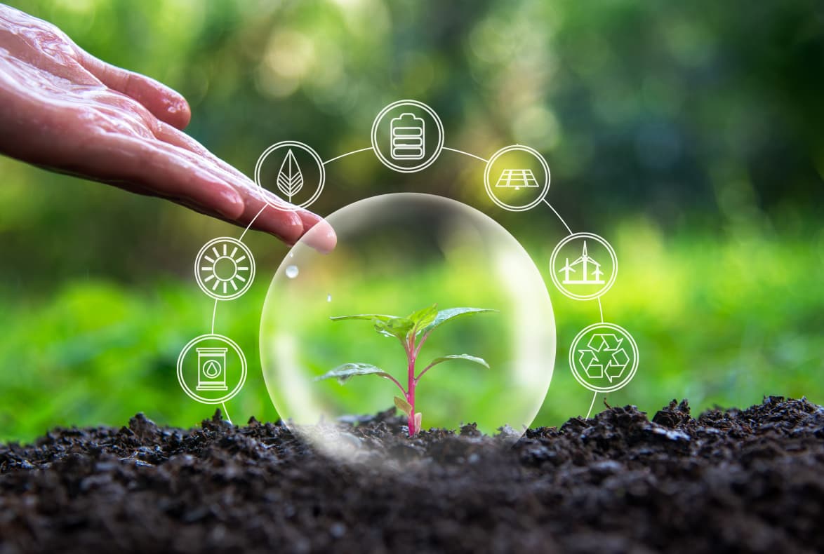 Why Environmental and Social Impact Assessments Matter
